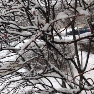 Meet your Posher, Gauri